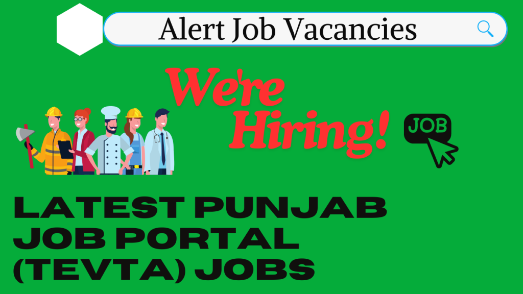  Punjab Job Portal 