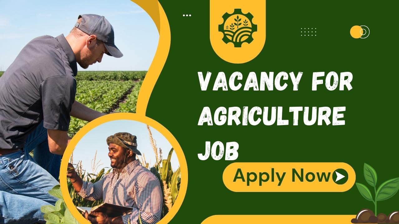 Vacancy for Agriculture Job